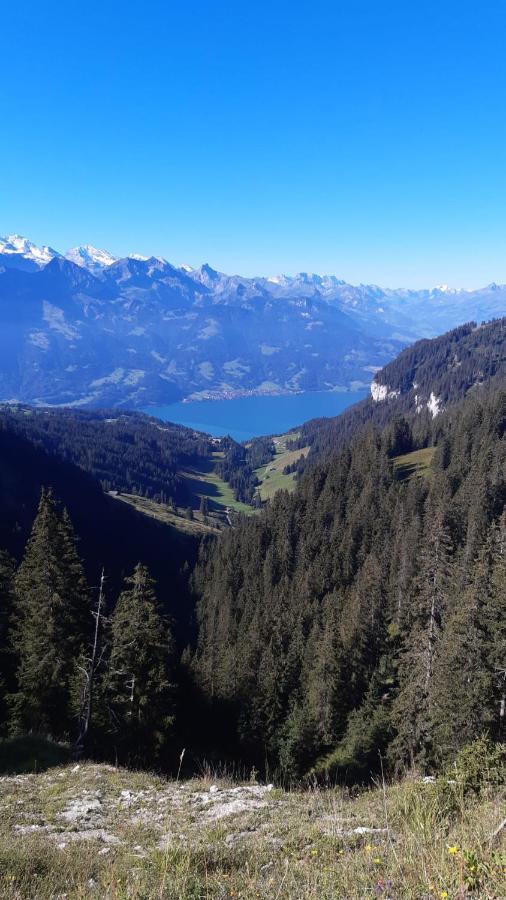 अपार्टमेंट Lilo 2 Mountain View Beatenberg