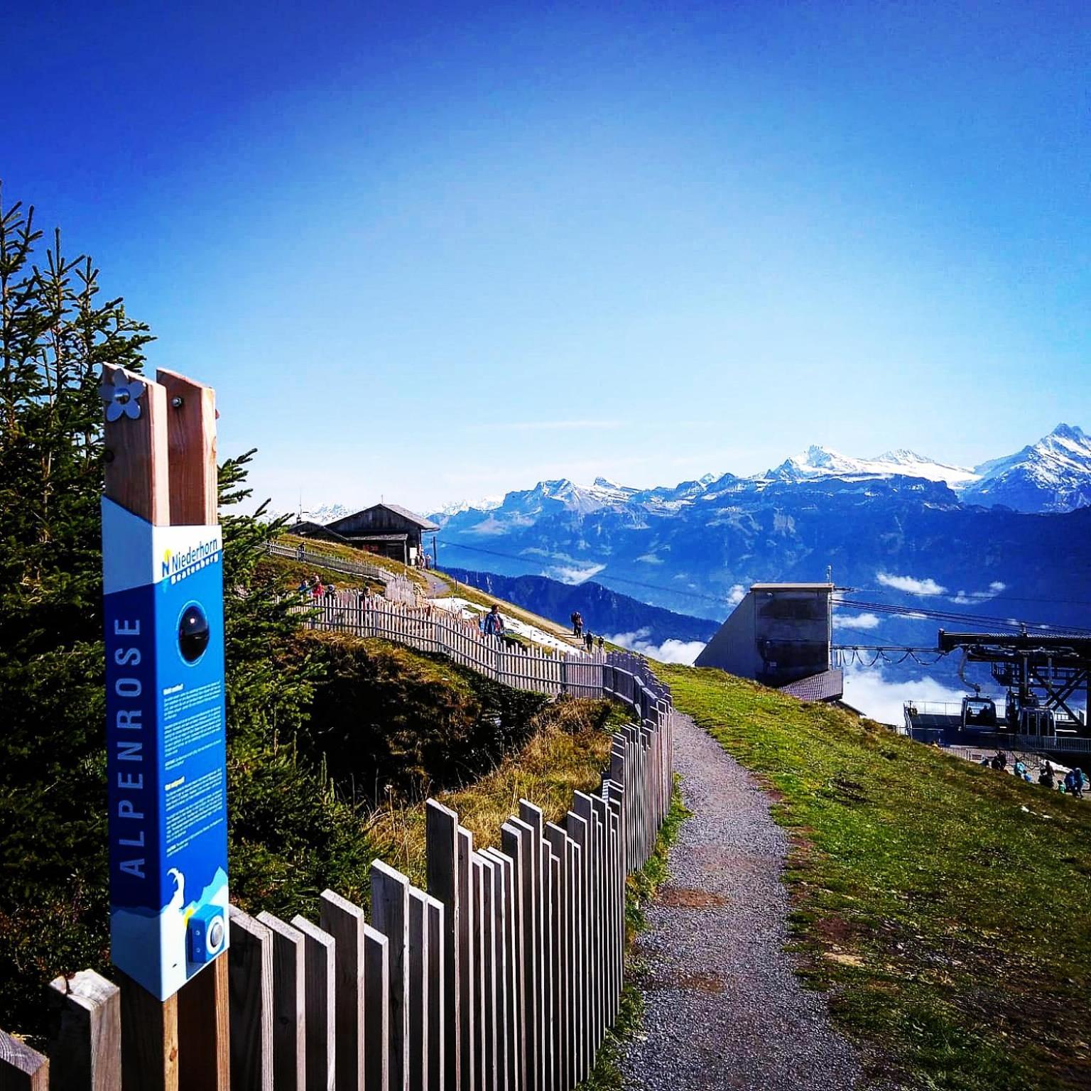 अपार्टमेंट Lilo 2 Mountain View